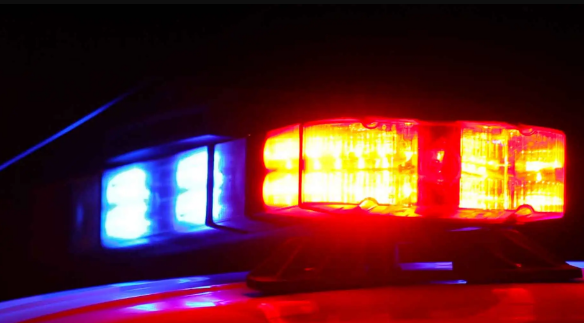 Oak Park Suicide, Accident Death - Man Shoots Self After Crashing Into PACE Bus